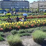 Beautiful Old Property In Bordeaux Center