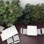 Maison D\'Hotes Bordeaux Centre Le Patio De L\'Intendance