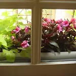 Appartement Duplex Rue du Soleil