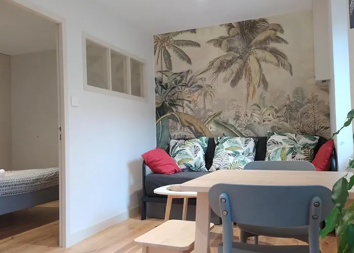 Appartement Renove 1 Chambre Centre Historique