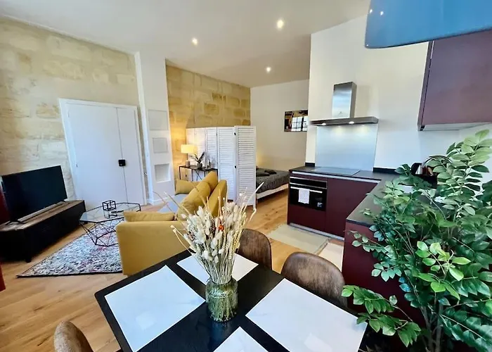 Petit Loft Vieux Bordeaux