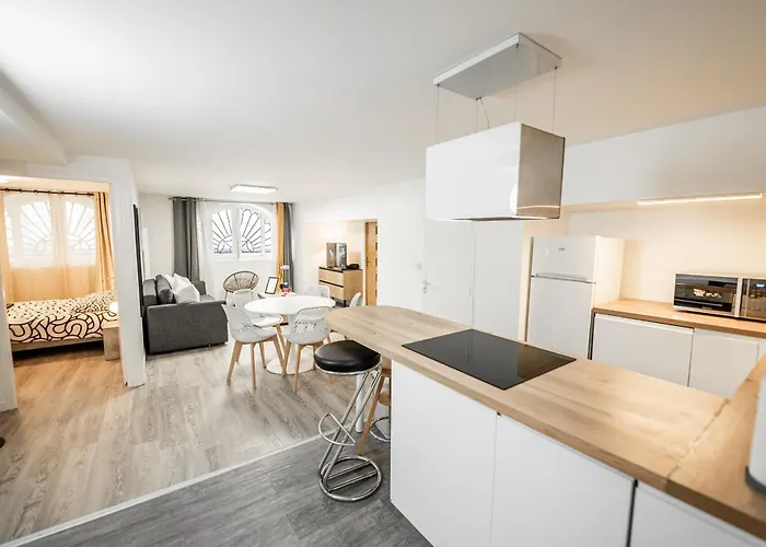 Bel Appartement Renove - Place Du Palais Avec Parking
