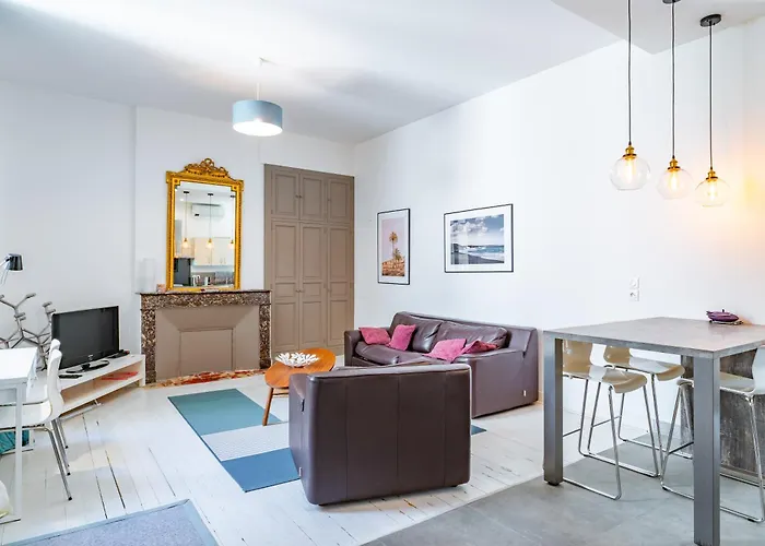 Magnifique Appartement Avec Climatisation En Hyper Centre De Bordeaux