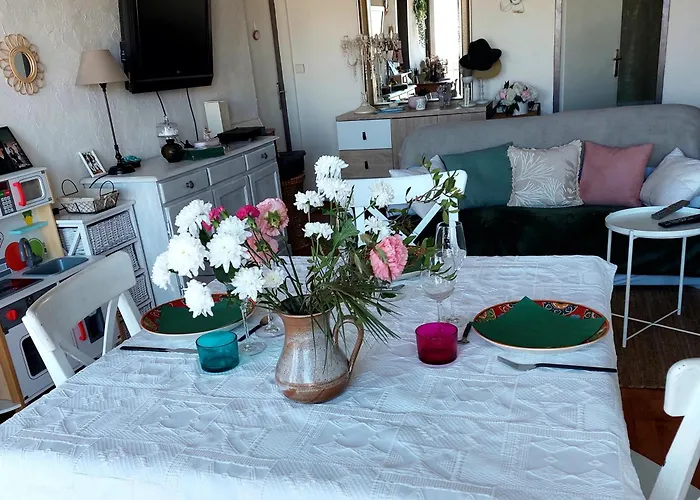 Chambre Chez L\'Habitante Avec Salle De Bain Et Cuisine Communes - Presence D\'Un Chat