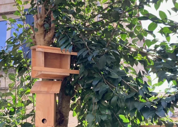 Chambre Dans Un Appartement Avec Jardin