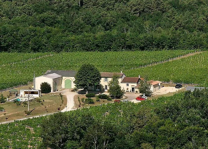 Domaine De Grand Homme