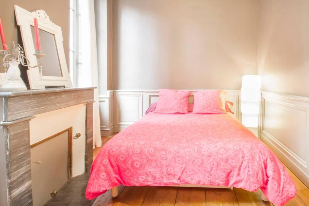 Au Coeur Du Quartier Historique Apartment