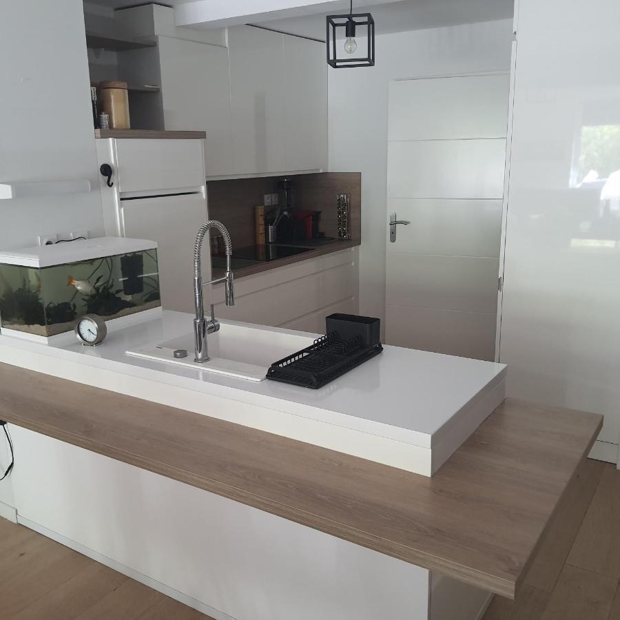 Homestay Parentale Du Centre-ville: Verdure Et Tranquillité Bordeaux