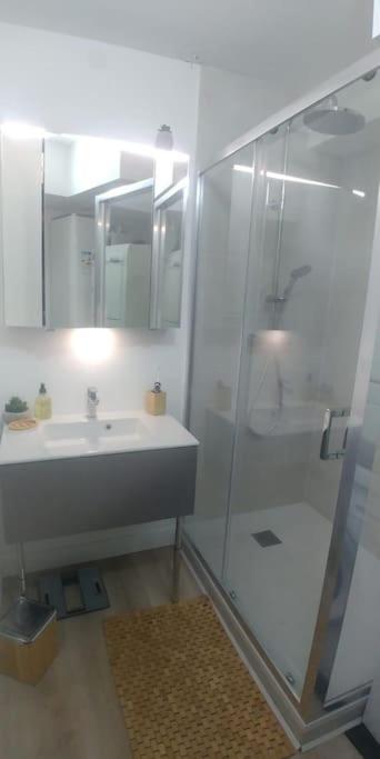 Apartment Confort Au Pied Du Tram *