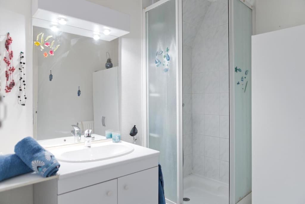 Homestay - Proche Du Centre - Salle D'eau Et Wc Prives *