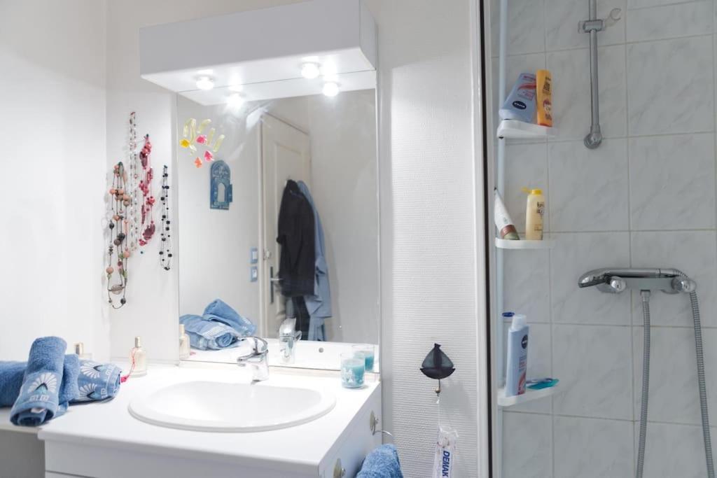 - Proche Du Centre - Salle D'eau Et Wc Prives * Burdeos