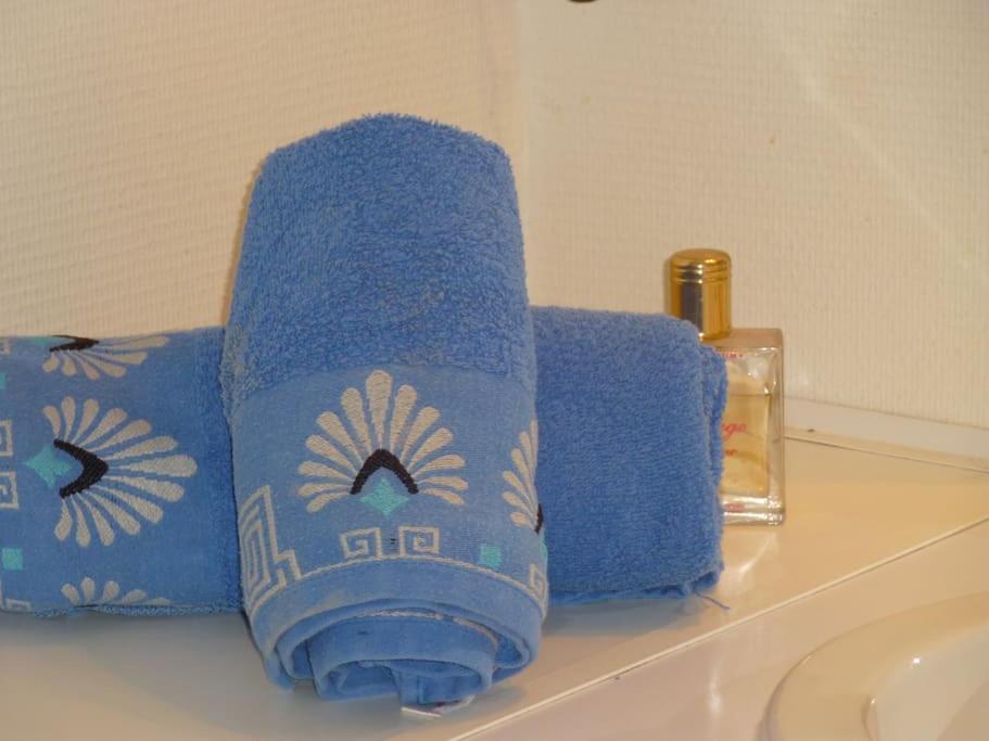 - Proche Du Centre - Salle D'eau Et Wc Prives Homestay