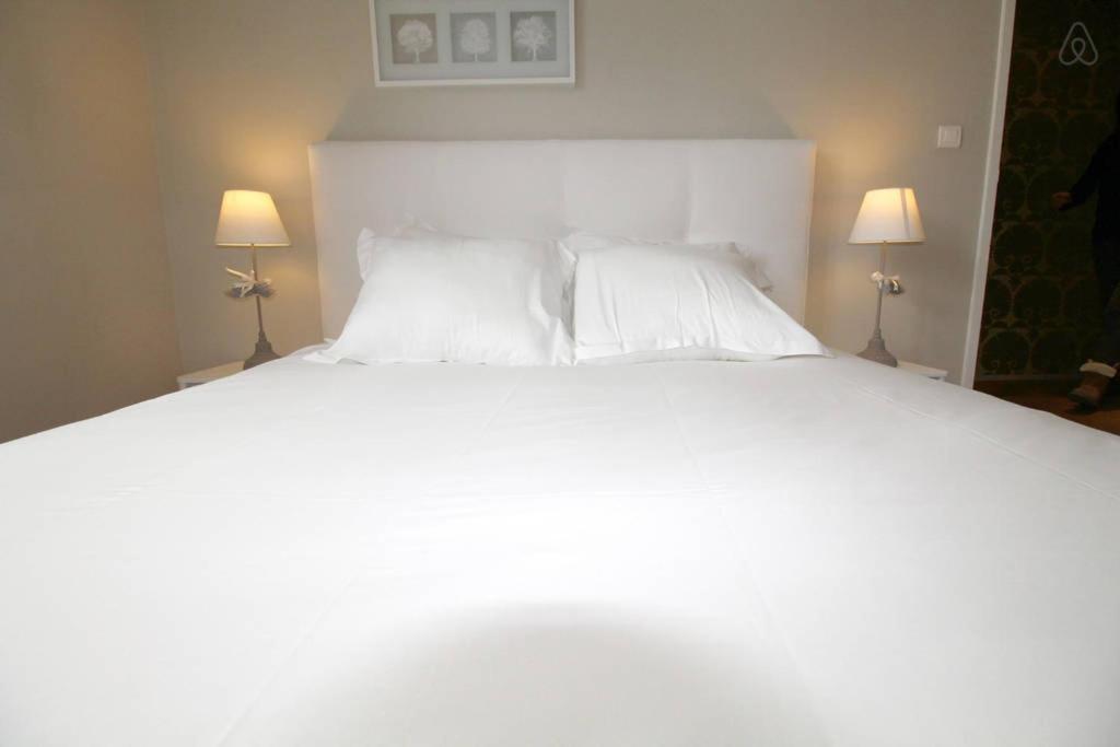 Apartment En Hyper Centre - Jardin Public Bordeaux