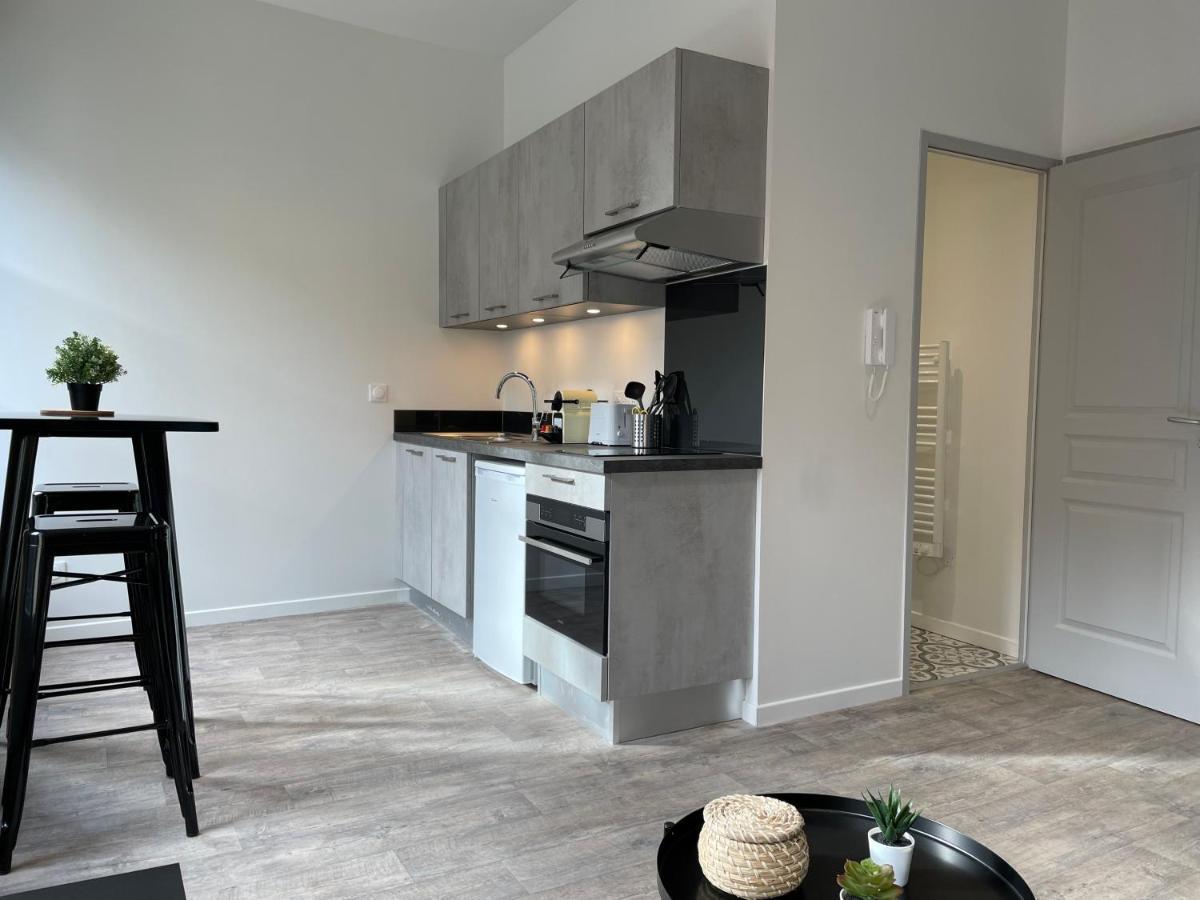 Climatises En Hyper Centre Apartment