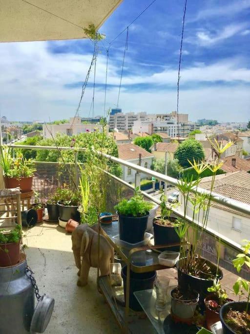 Joli 3 Pieces Ensoleille Avec Parking Apartment