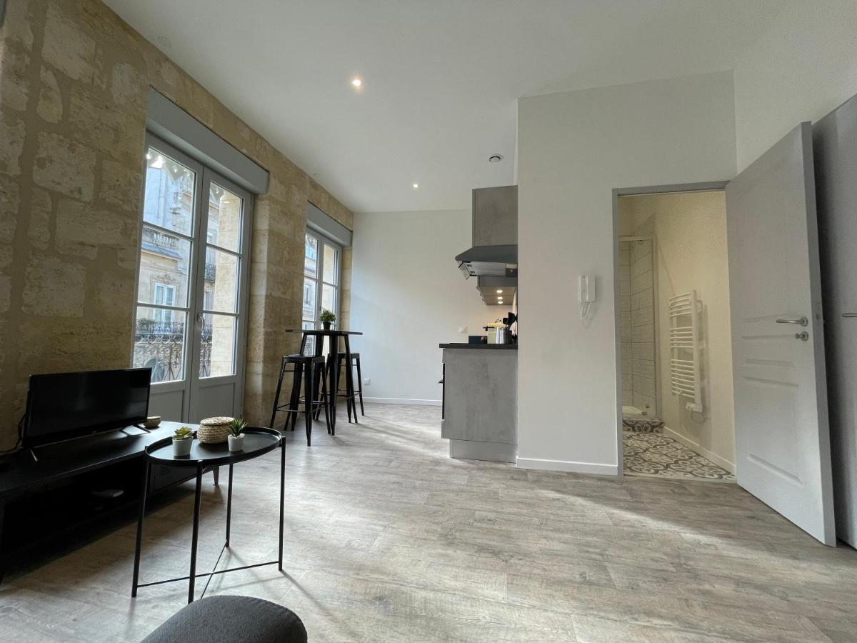 Climatises En Hyper Centre Apartment Bordeaux