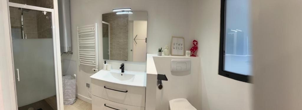 Ferdinand Apartment Bordeaux