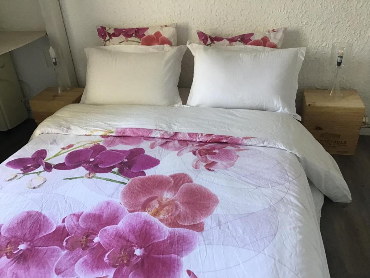 Apartment Araukana Bordeaux