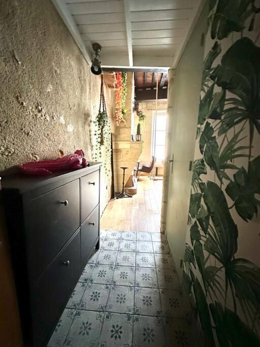 Jungle Hyper Center Apartment