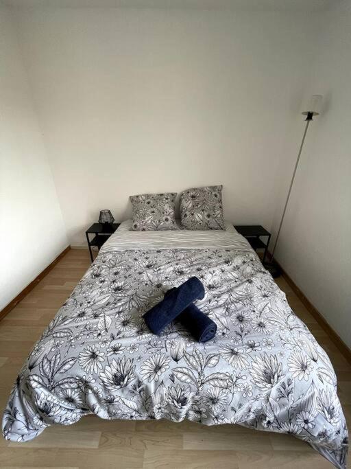 Duplex Moderne Proche De Toutes Commodites Bordeaux