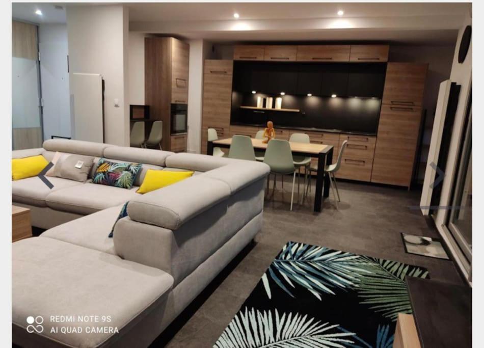 Appartement Grand T3 Meuble Luxe