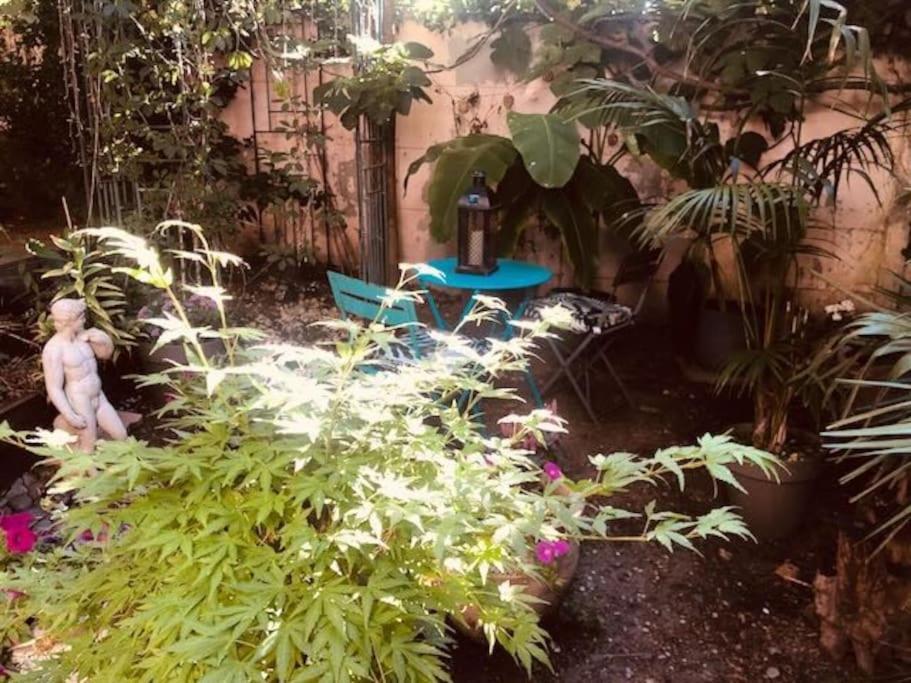 Apartment 1 Chambre Sur Jardin