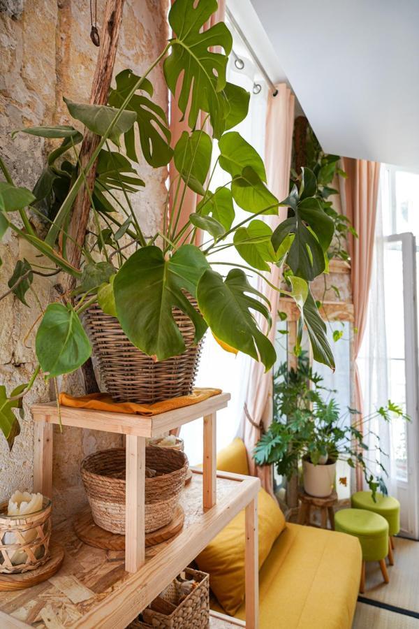 Charmant Studio Lumineux, Minimaliste Et Vegetal Apartment Bordeaux