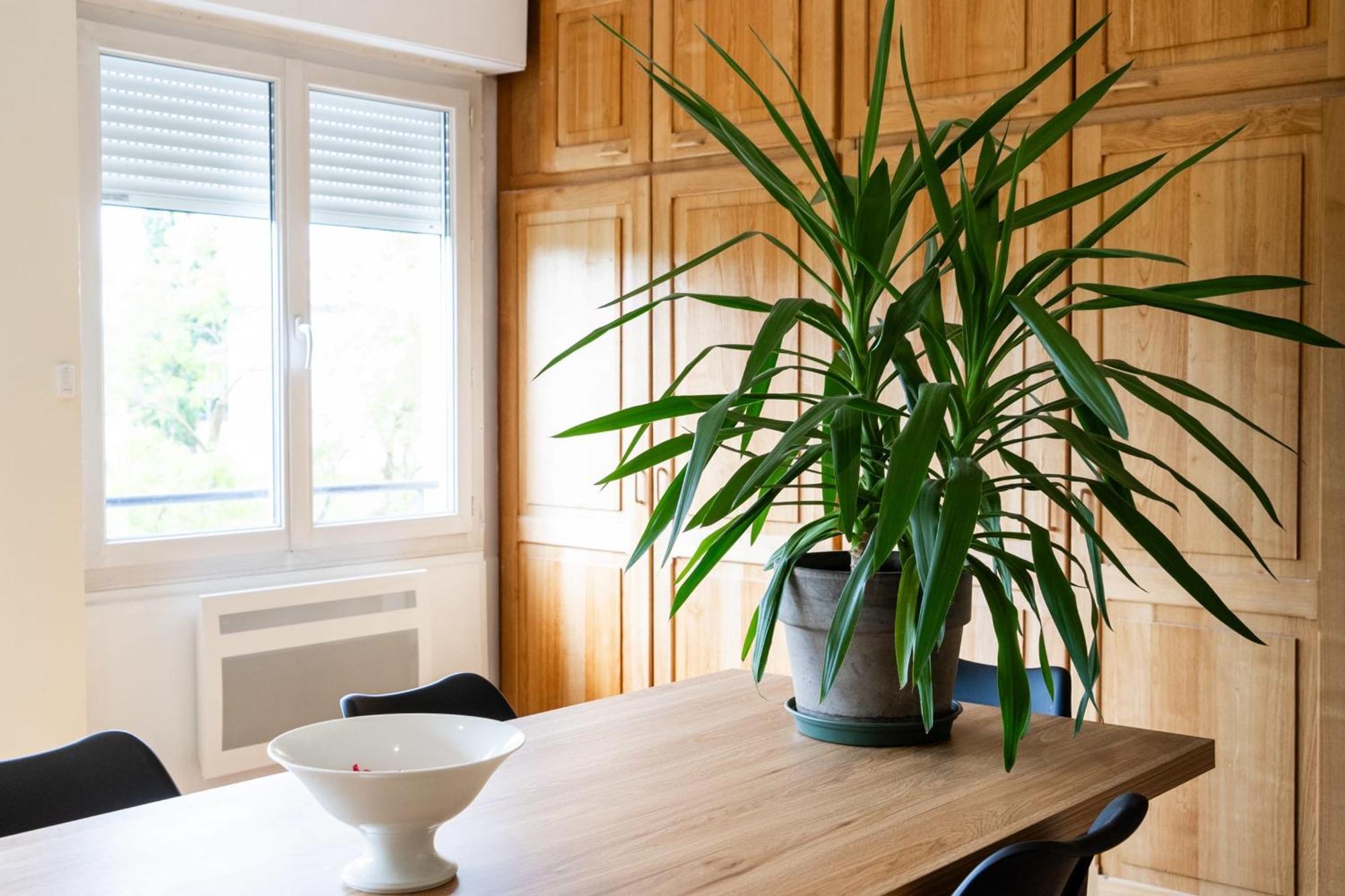 Appartement Bright And Charming 50 M Cocoon Bordeaux