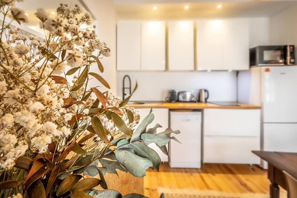 Jardin Public : T3 Renove Immeuble Pierre Apartment *