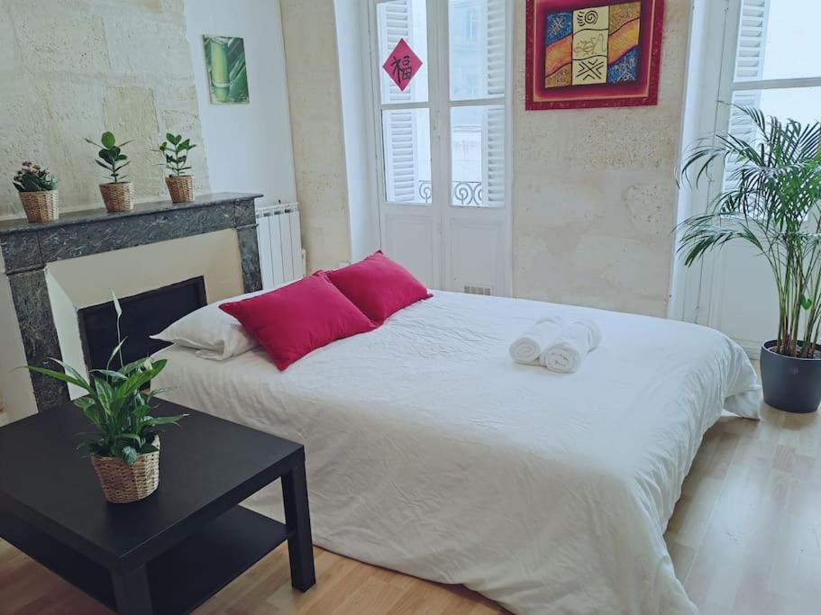 Center Cosy S1 65m2