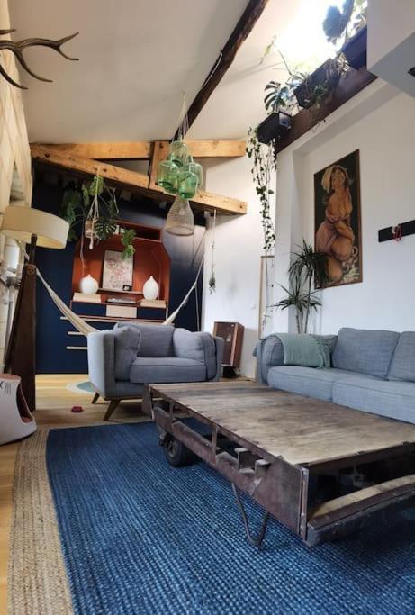 Appartement Duplex Atypique Et Chaleureux, Hyper Centre *