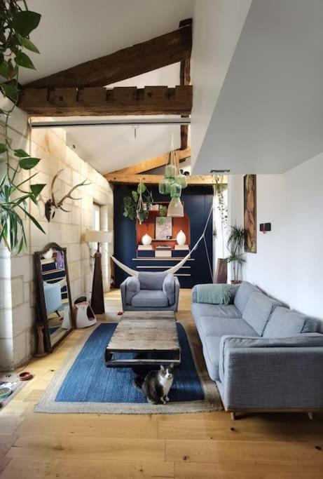 Appartement Duplex Atypique Et Chaleureux, Hyper Centre *