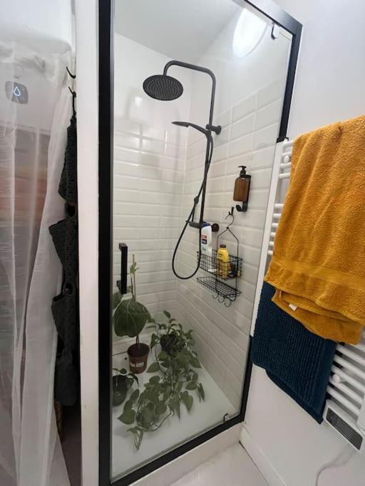 Apartamento Avec Cour Burdeos