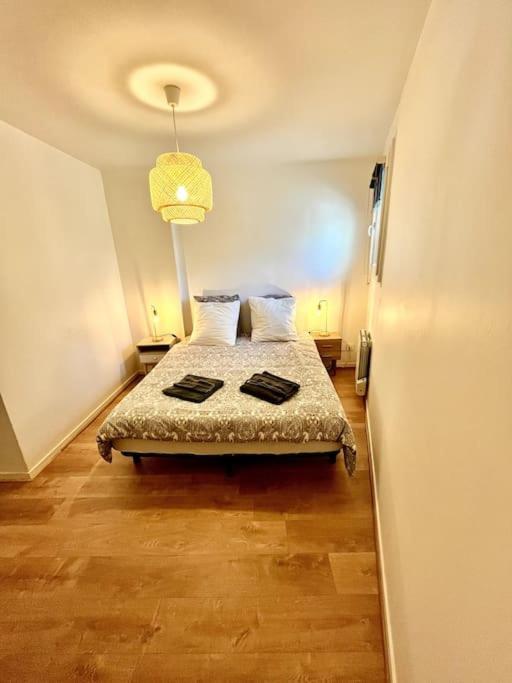 T3 Souplex Entre Gare & Nansouty Apartment