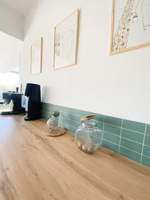 Apartment Spacieux Et Lumineux - 4 - Jardin - Wifi Bordeaux