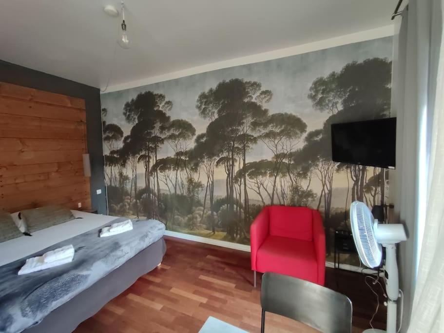 Apartment Cosy Centre Historique Saint-michel *