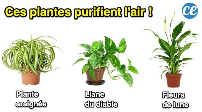 Apartment 18esiecle Proche Centre Pierre Plantes Boheme Lgbt