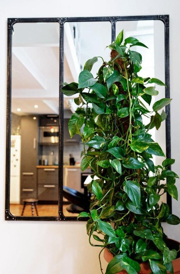 Appartement Jolie Duplex Au Coeur De Saint Michel *