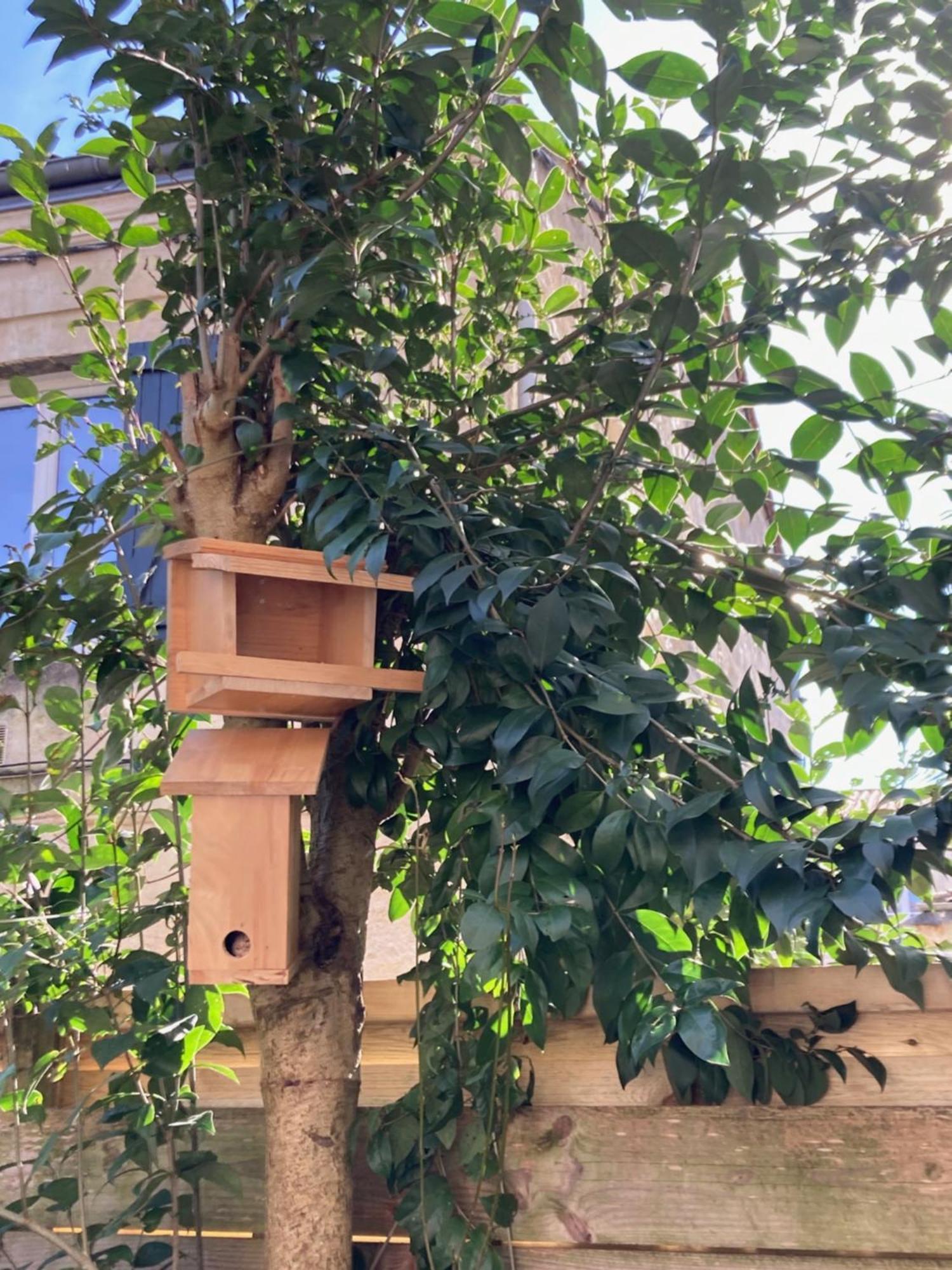 Dans Un Avec Jardin