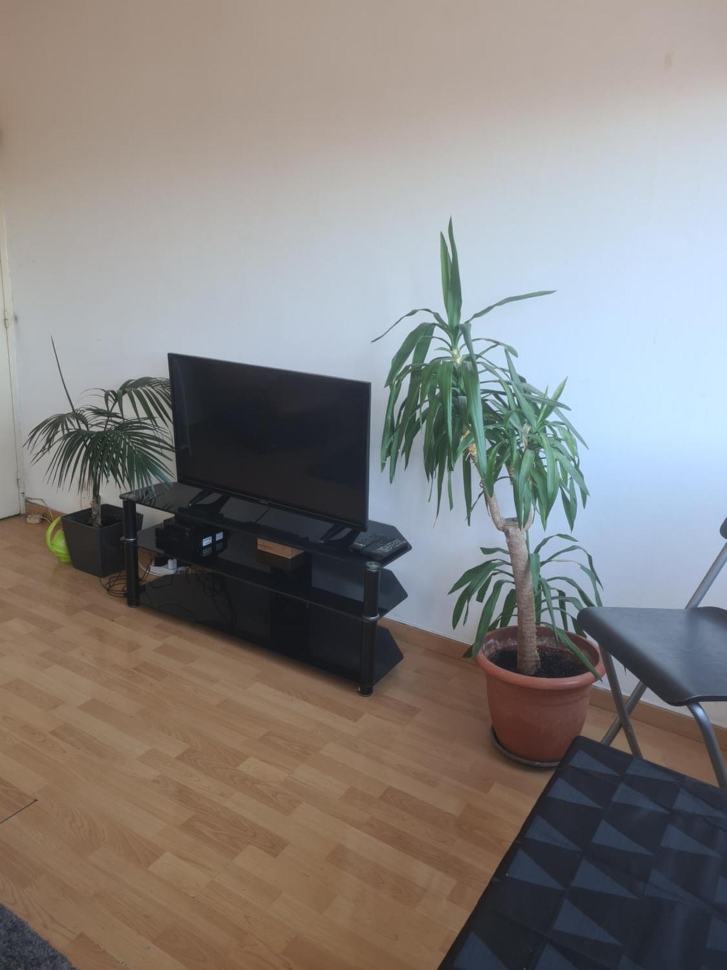 Couette-café Quickhosting