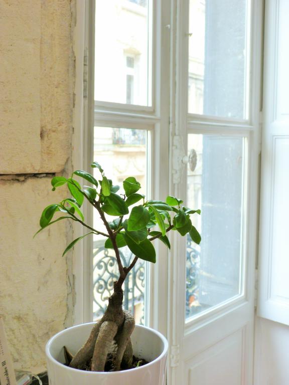 L'appart D'oli Et Tiane Bordeaux