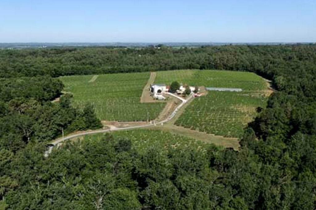 Domaine De Grand Homme Frühstückspension