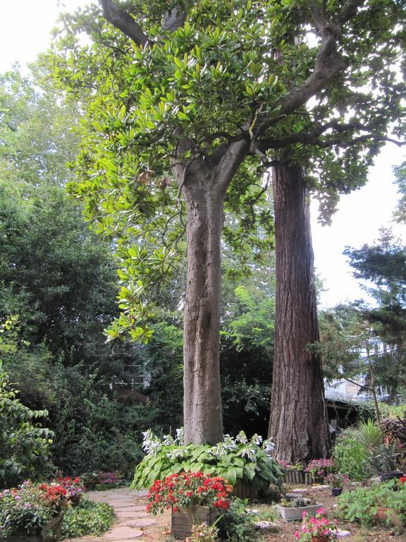 Sequoia Garden Bed & Breakfast