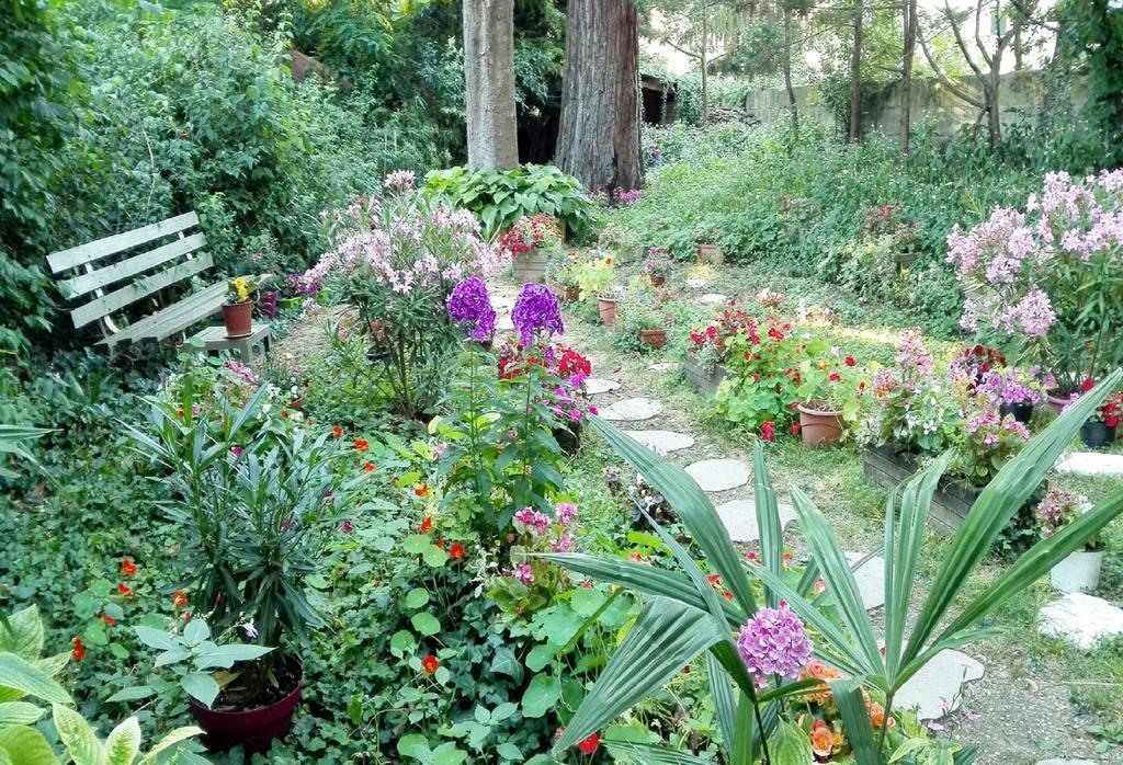 Sequoia Garden