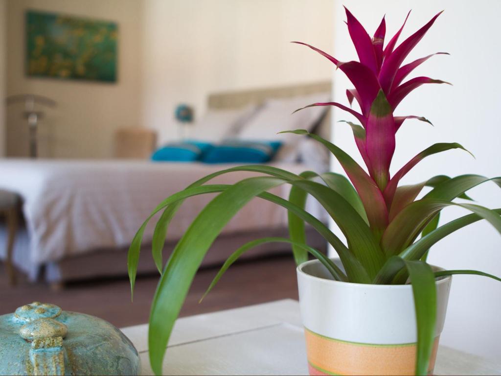 Bed and breakfast Saint Genes - Chambres Et Table D'hotes Burdeos