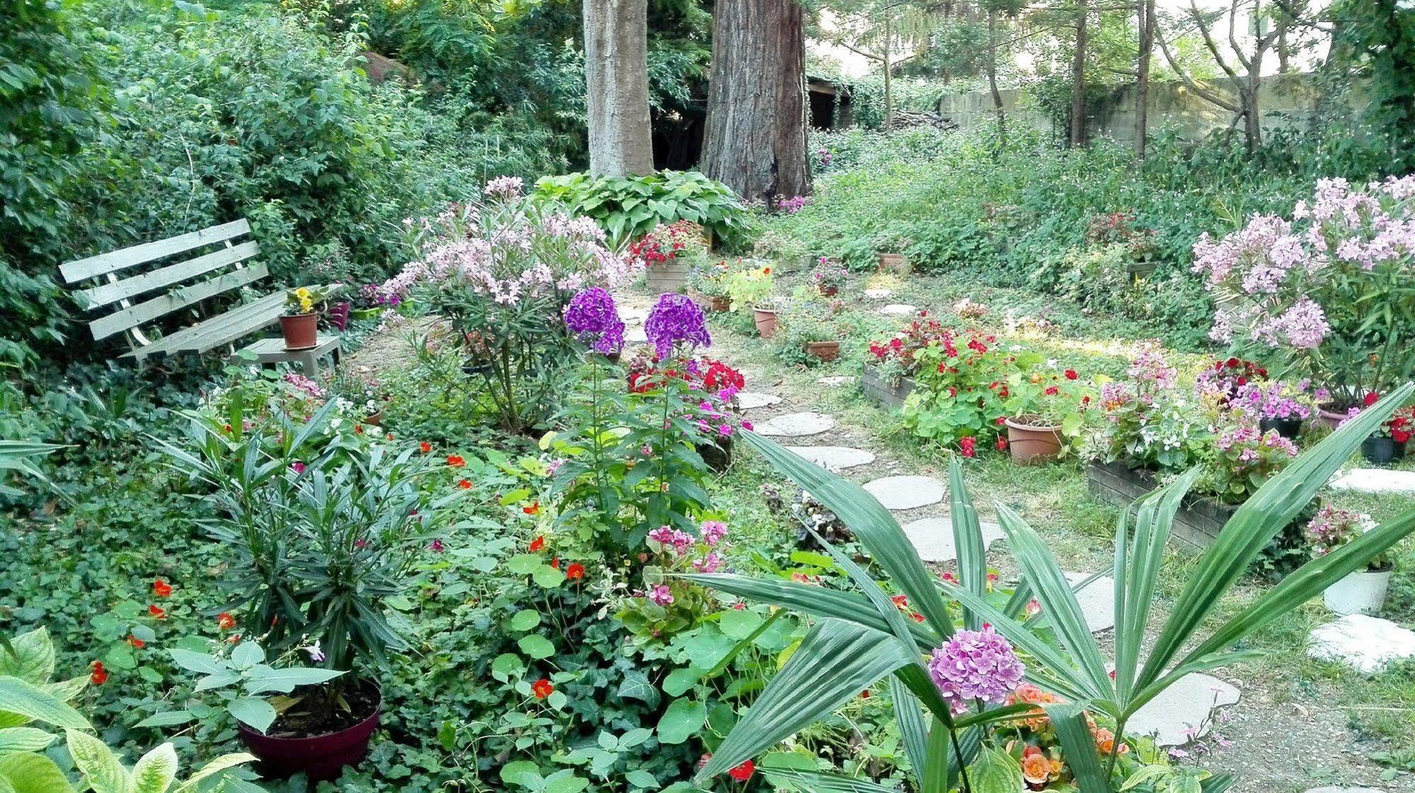 Sequoia Garden 2*