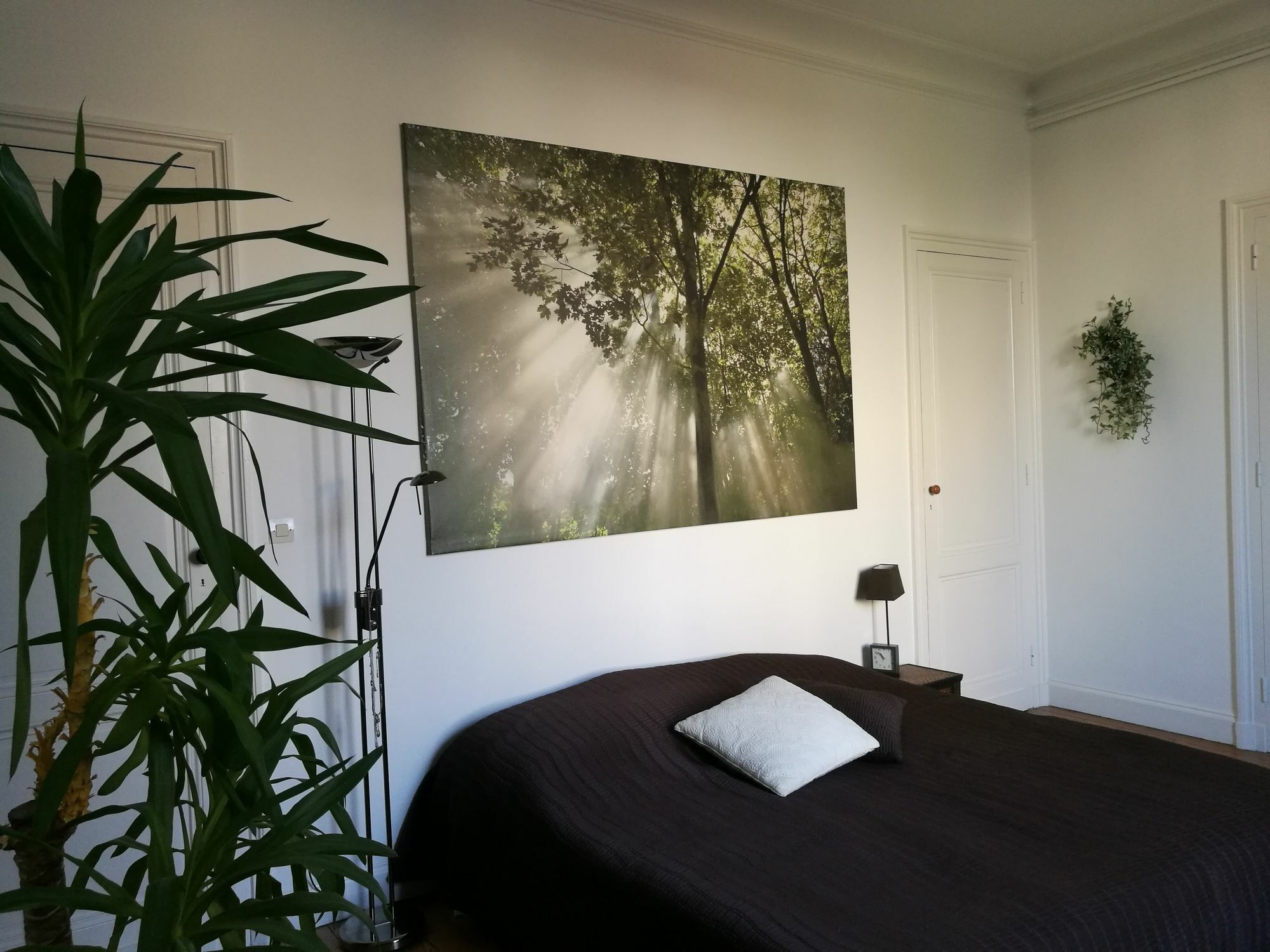 Le Cosy Apartamento *