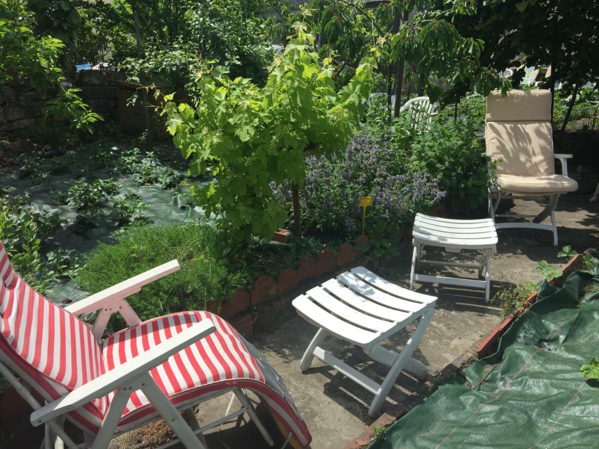 Homestay Violette