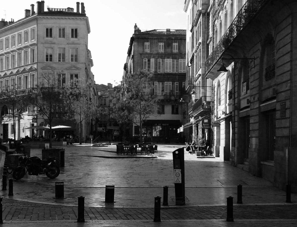 Le Cosy - Rue Ausone Bordeaux