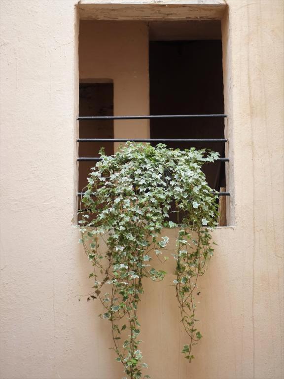 Chemin Du Muguet Bordeaux
